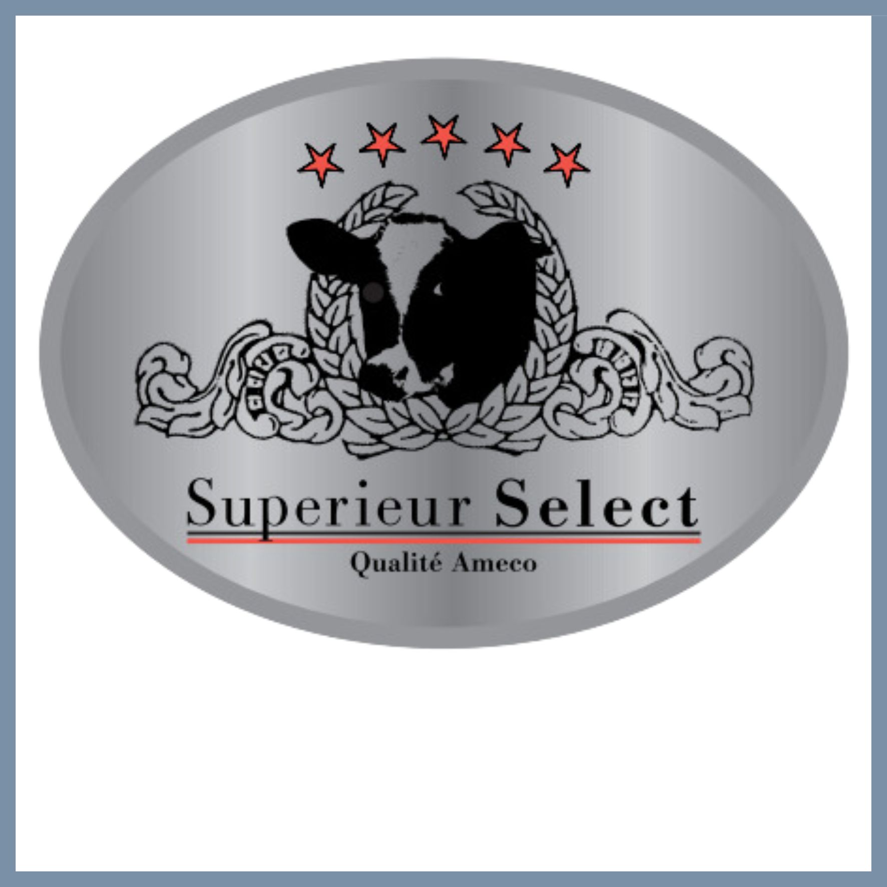 Logo AMECO