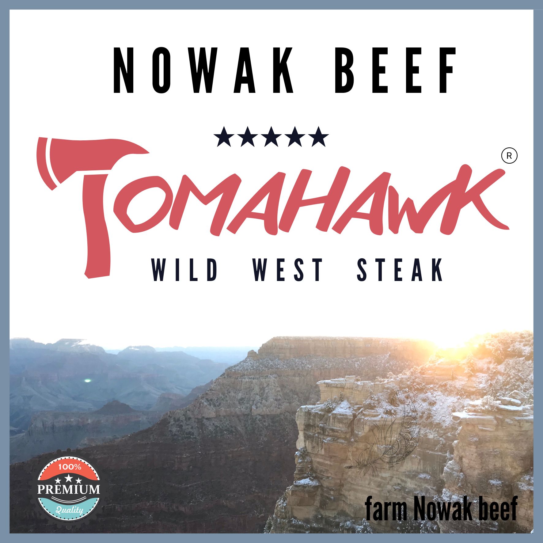 Logo NOWAK TOMAHAWK