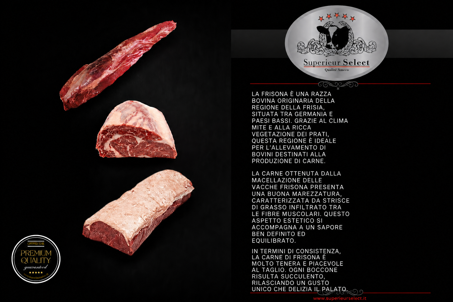 Scheda catalogo orizzontale Ameco