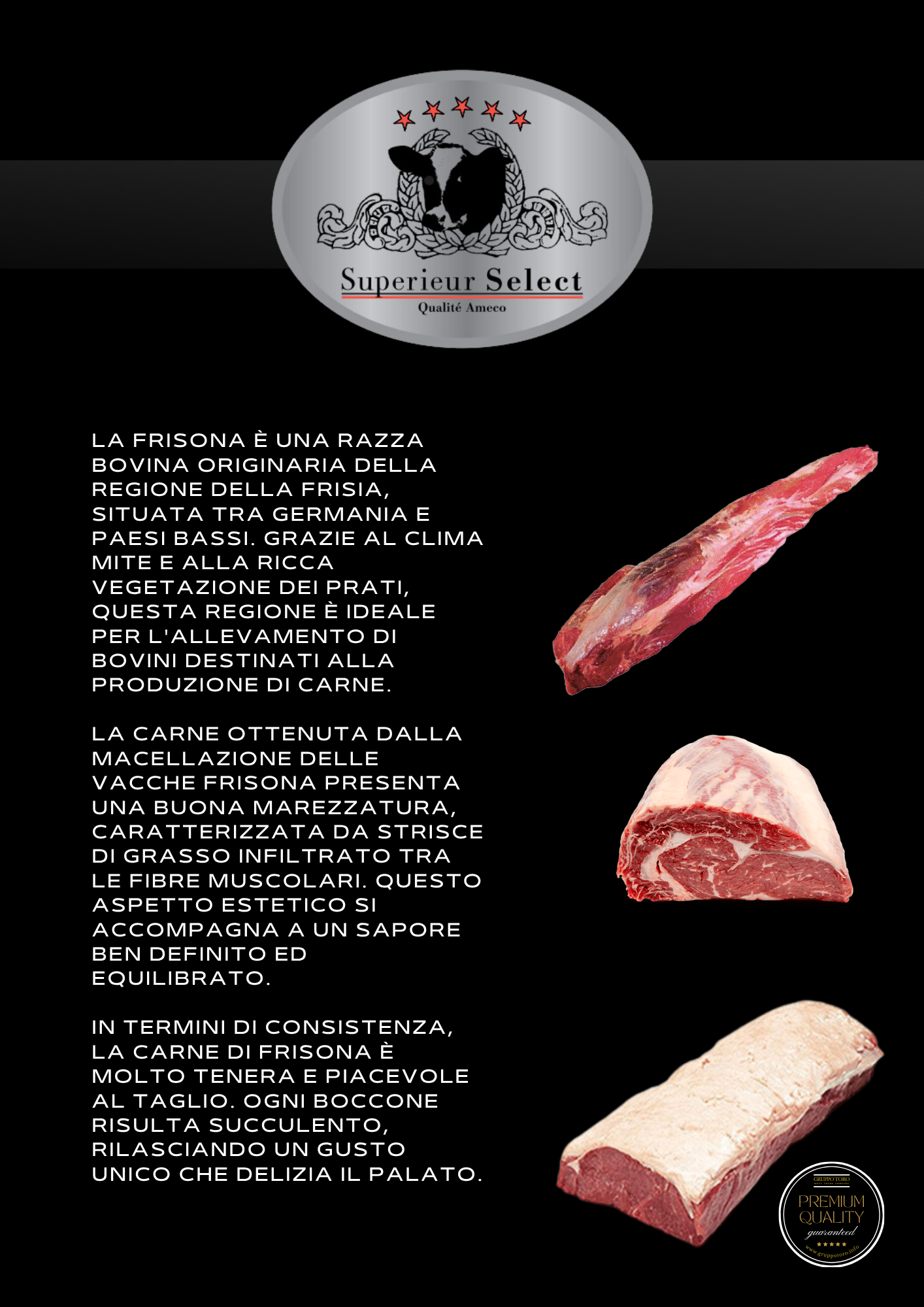 Scheda catalogo Ameco